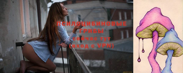МДПВ Пестово