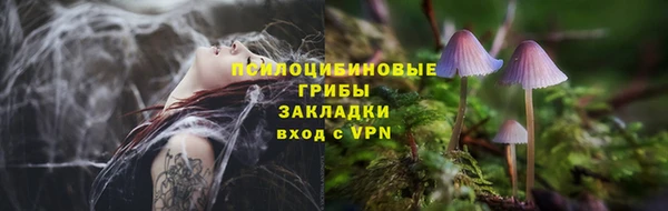 МДПВ Пестово