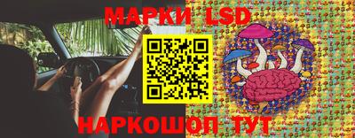 PSILOCYBIN Бугуруслан