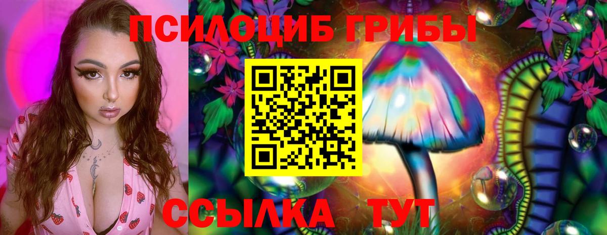 Псилоцибиновые грибы мухоморы Салават