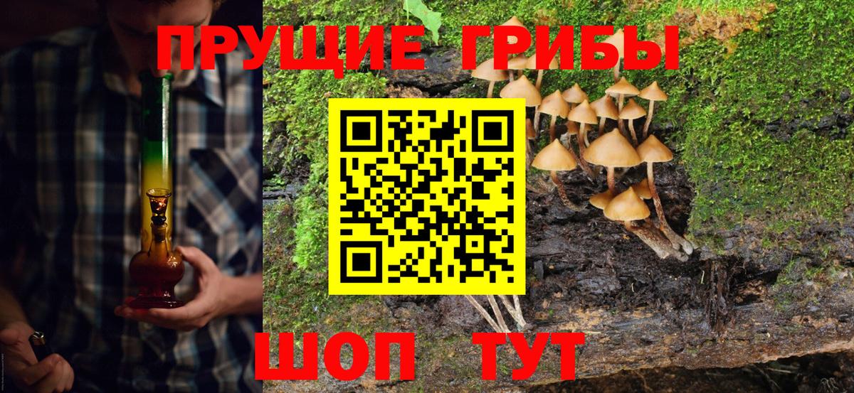Галлюциногенные грибы прущие грибы  Вход с VPN  Салават 
